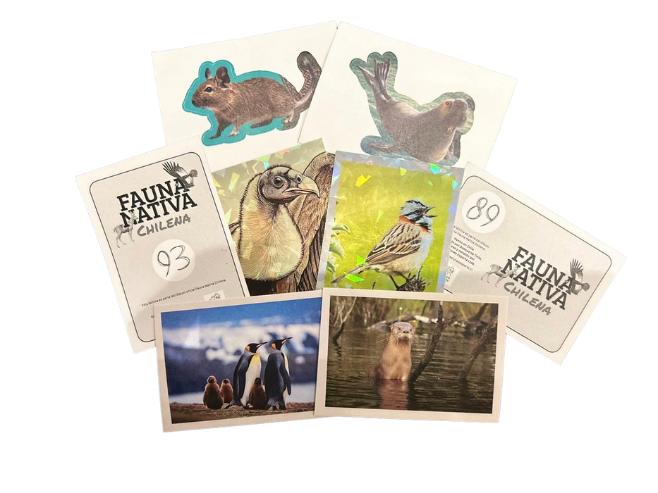 Album Animales Nativos Chilenos
